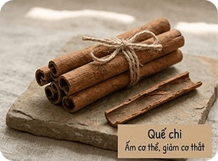 Quế chi