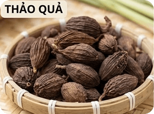 Thảo quả