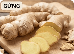 Gừng