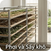 Phơi và sấy khô thảo dược