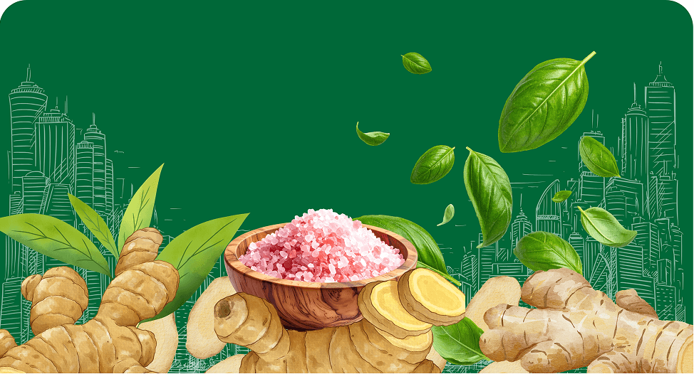 Minh họa nguyên liệu thiên nhiên LAVITA